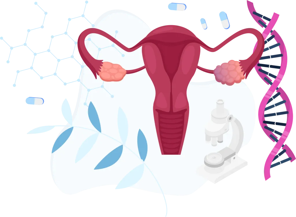 Illustration of the womens ovarian.