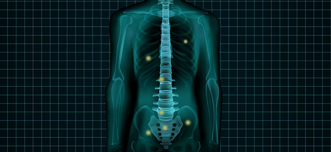 Illustration image of a human body.