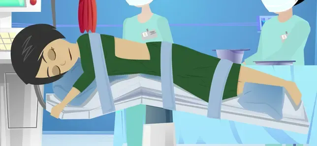 Kidney Donation Precare